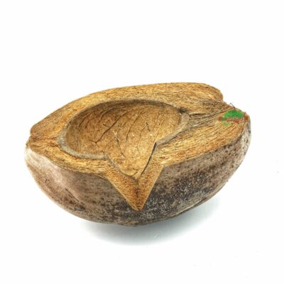 Reptiscape Half Coconut Hide Out with Whole Husk