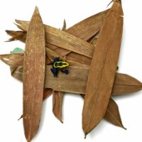 Reptiscape Bamboo Leaves with Dart Frog