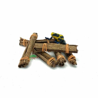 Reptiscape Catappa Bark sticks for Making Tannin Extract