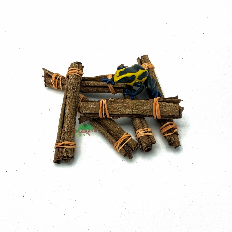 Reptiscape Catappa Bark Logs with Dart Frog 1