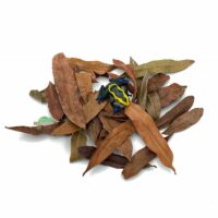 Reptiscape Thika Palm Leaves with Dart Frog