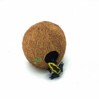 Reptiscape 3/4 Coconut cave with Dart Frog
