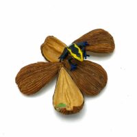 Reptiscape Wattakaka Seed Pods with Dart Frog