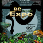 Spring 2023 Abbotsford Reptile Expo April 22-23 2023 Hosted by the BC Reptile Club (BCRC)