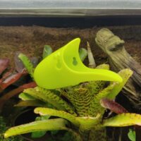 Tad-Pool – Yellow Green Cup Set