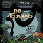 Abbotsford BC Reptile Expo