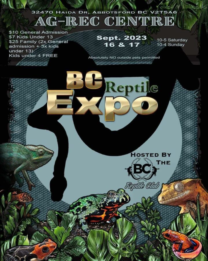 Abbotsford BC Reptile Expo