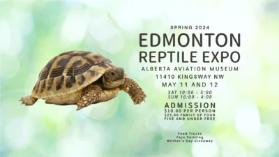 Edmonton Reptile Expo May 2024