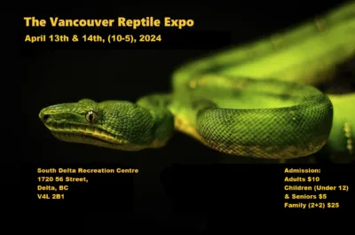 Vancouver Reptile Expo April 2024