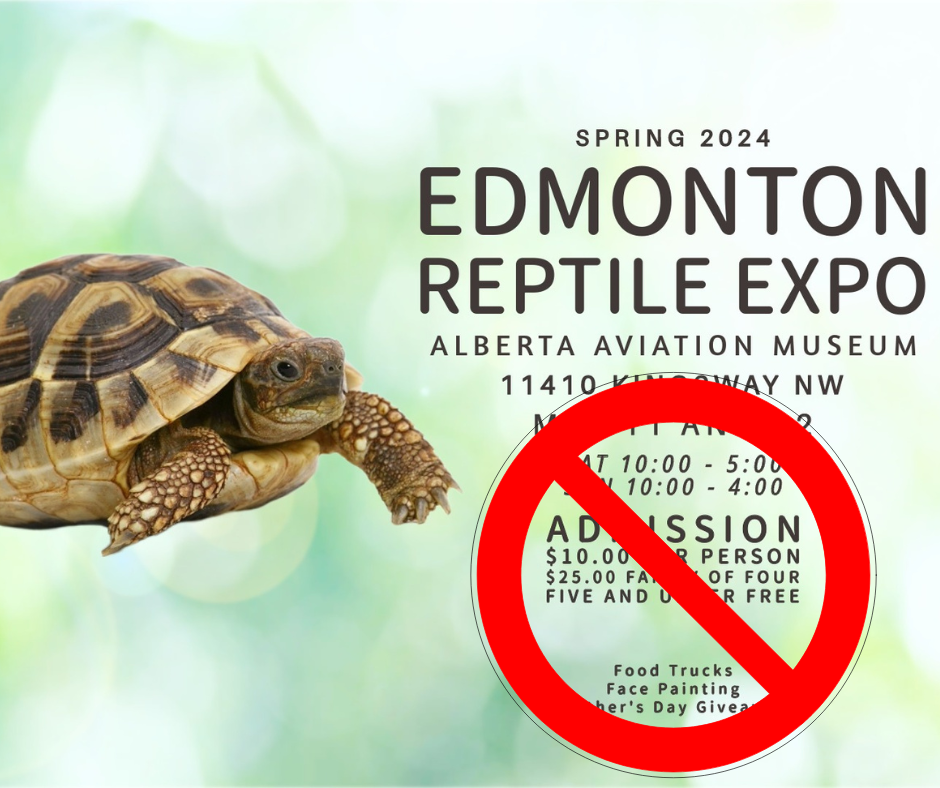 Edmonton Reptile Expo May 2024