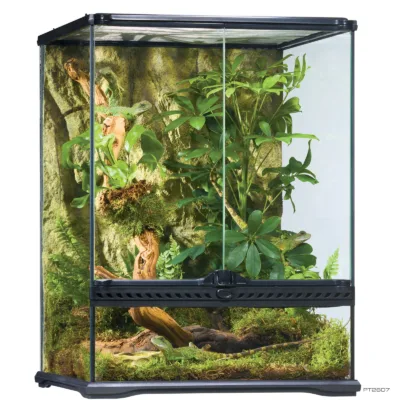Exo Terra Terrarium 18x18x24