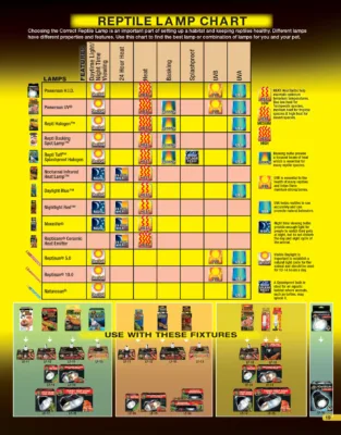 Reptile Lamp Chart