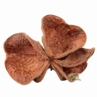 Land Lotus 3pack