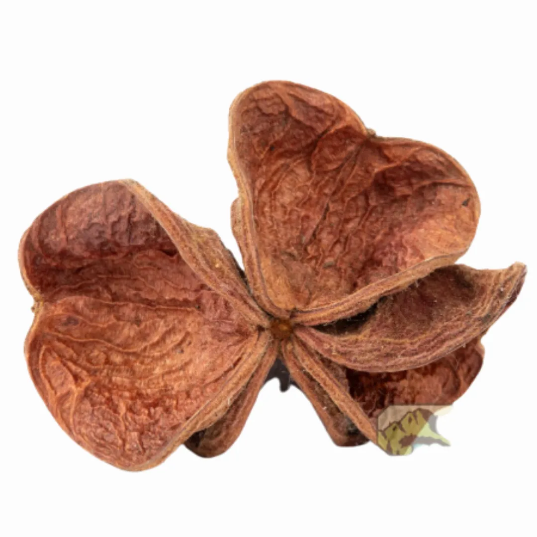 Land Lotus 3pack