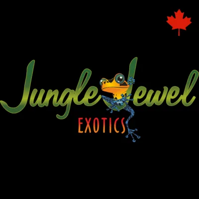 Jungle Jewel Exotics is a Canadian Company