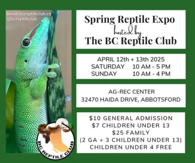 Abbotsford BC Reptile Expo April 12-13 2025