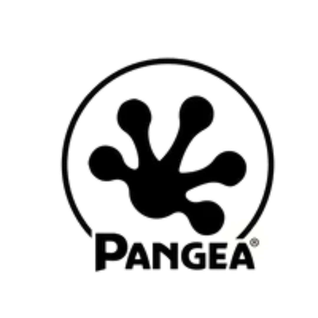 Pangea Reptile