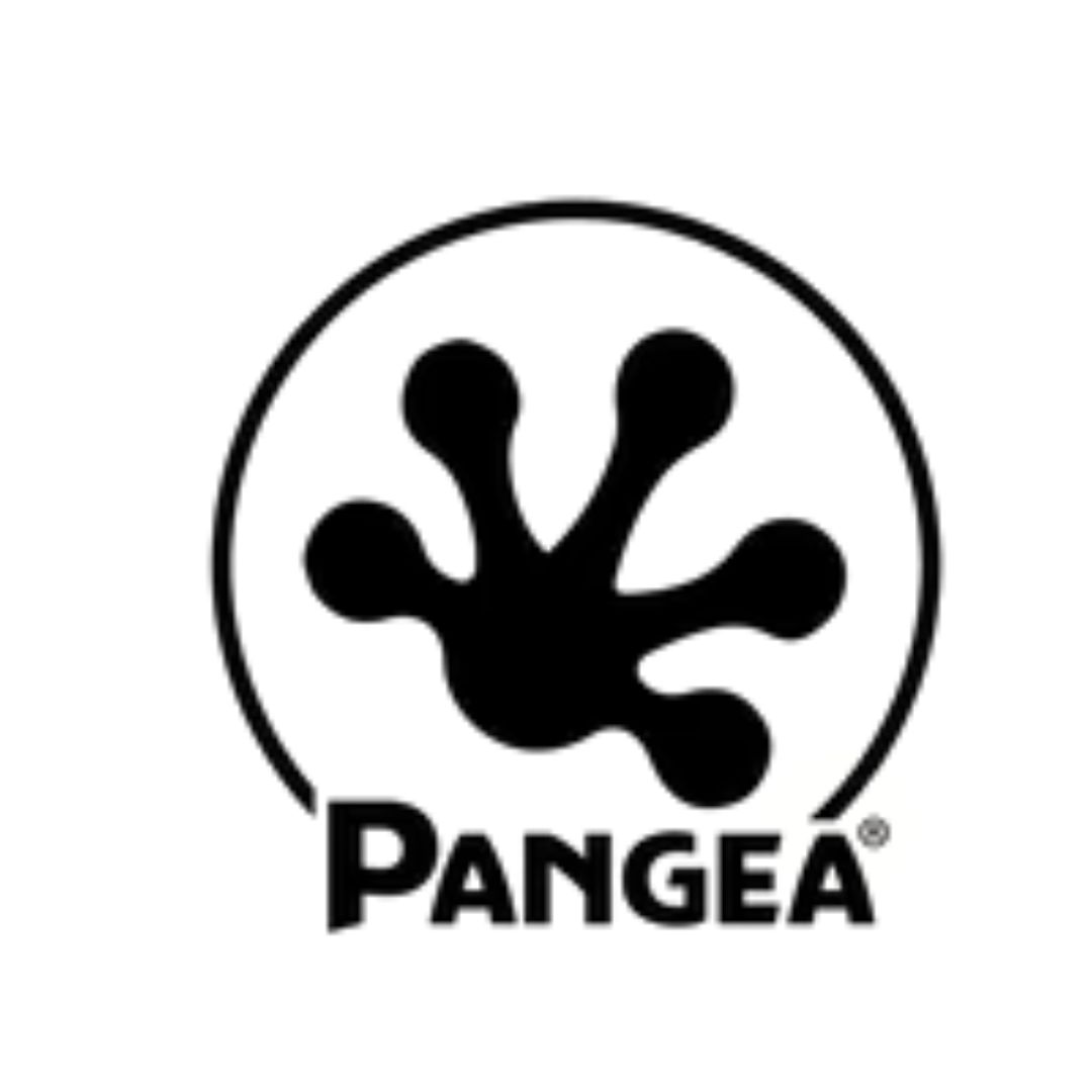Pangea Reptile