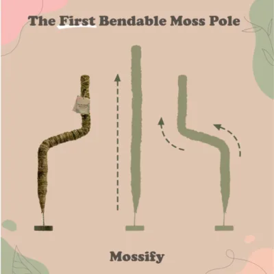 Bendable Moss Pole by Mossify