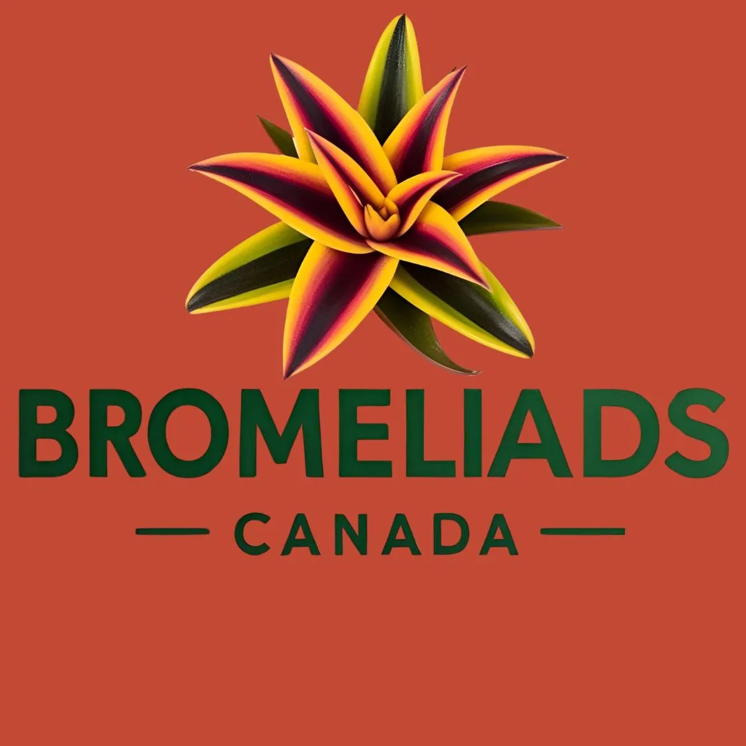 Bromeliads Canada