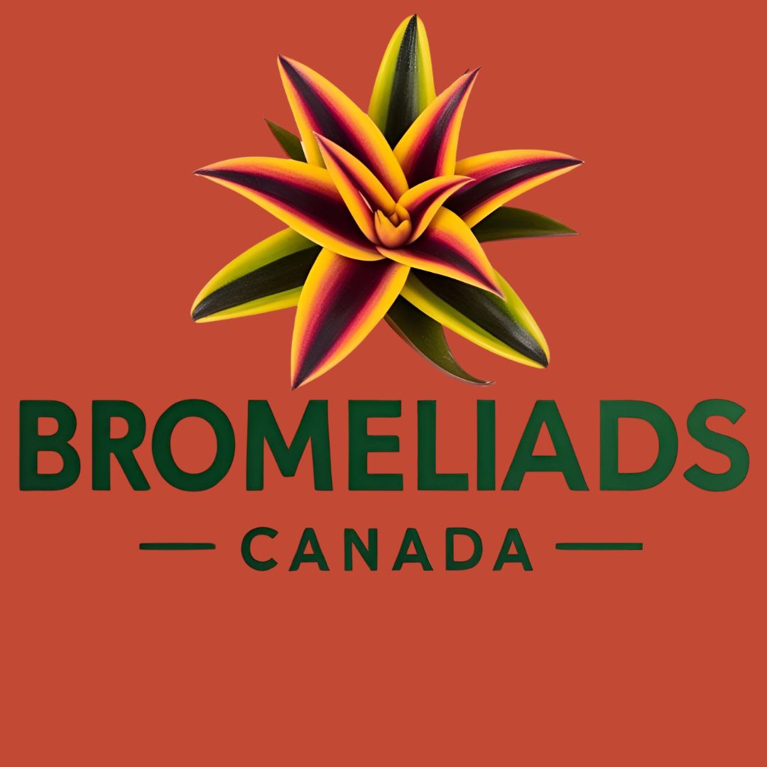 Bromeliads Canada