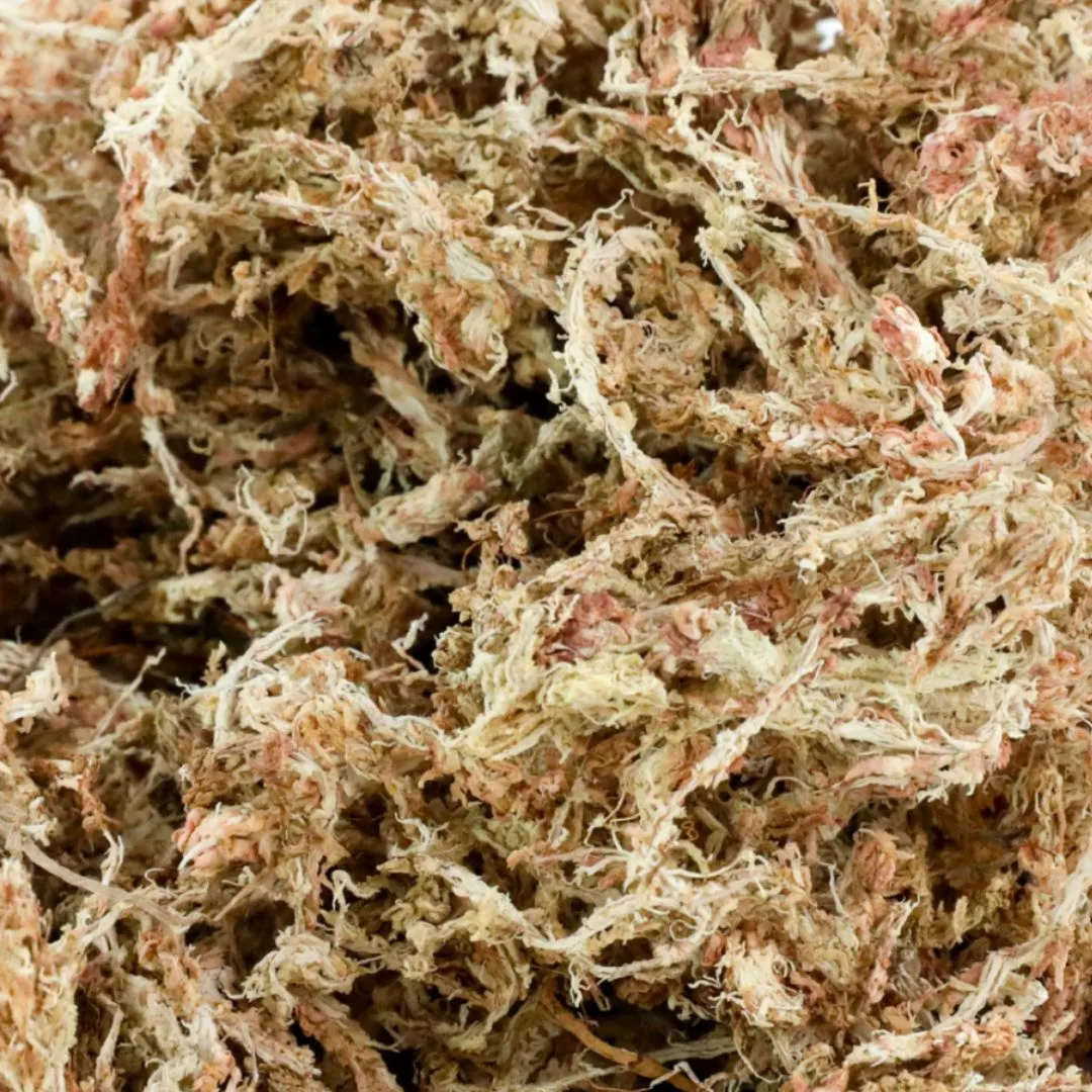 Mossify Premium Long Fiber Sphagnum Moss
