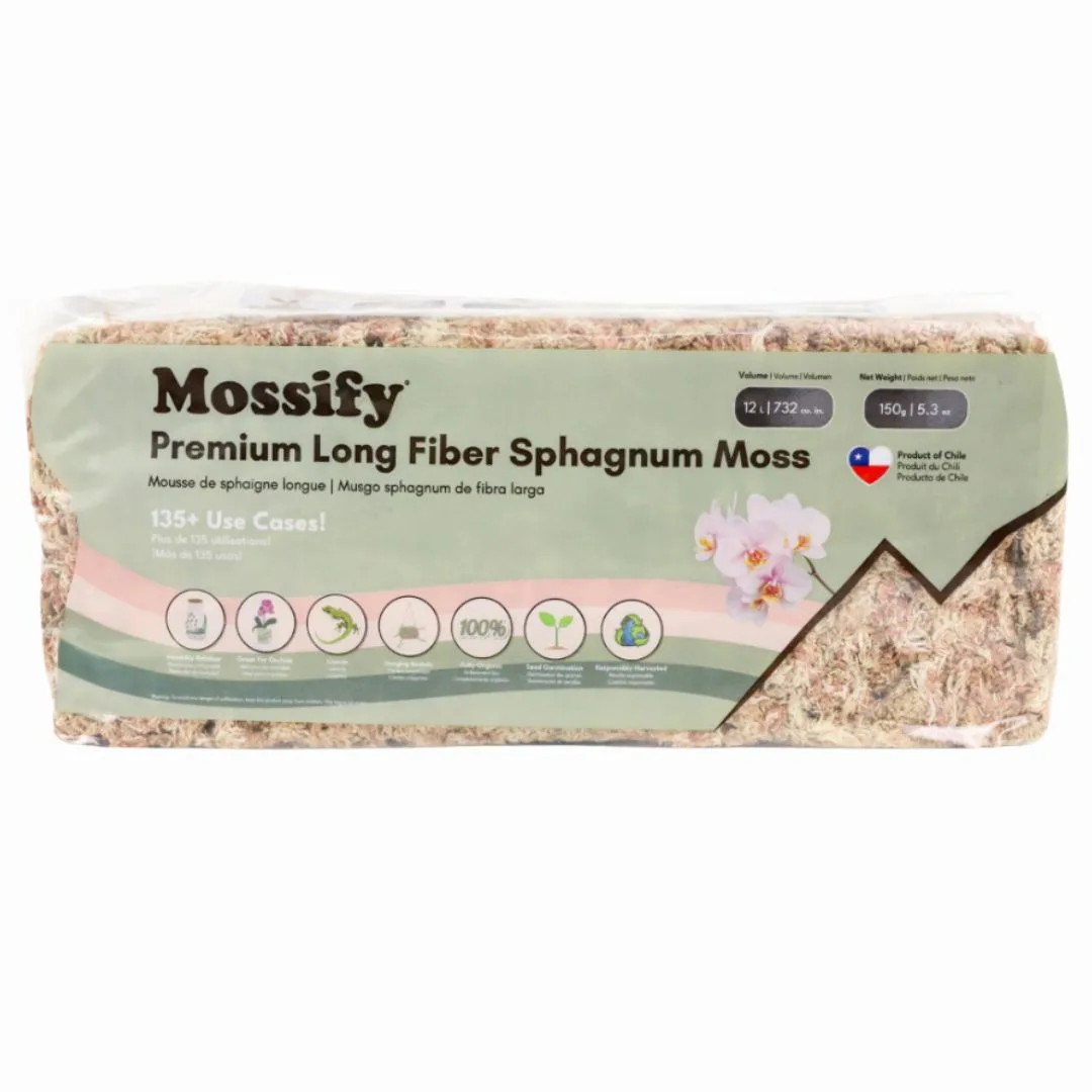 Mossify Premium Sphagnum Moss 150gm