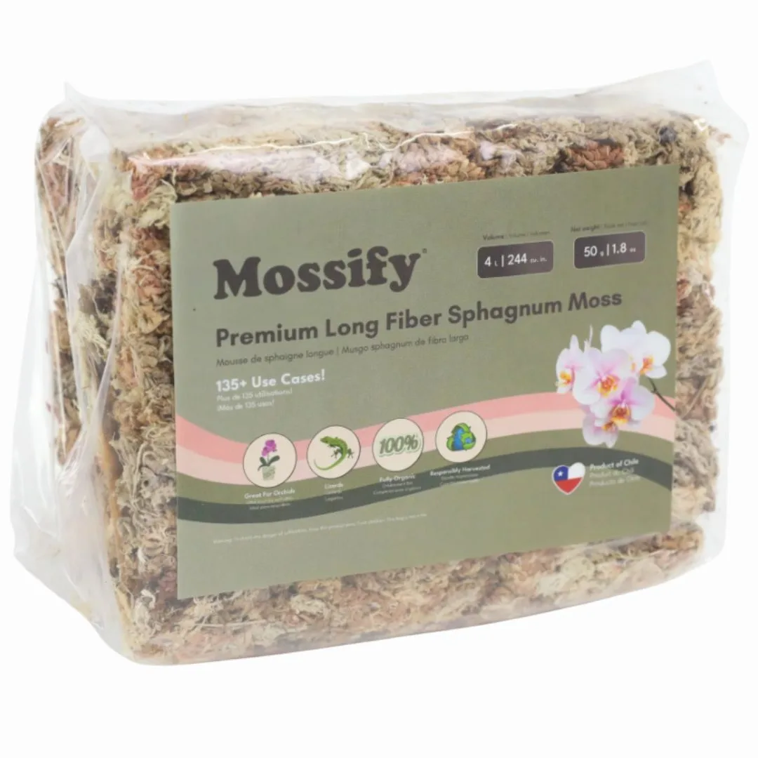 Mossify Premium Sphagnum Moss 50gm