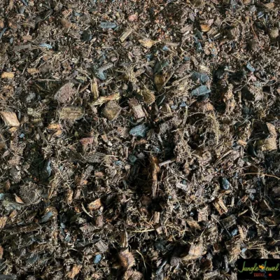 Premium Terrarium Substrate Made in Canada. Safe for most reptiles, frogs, spiders and invetibrates