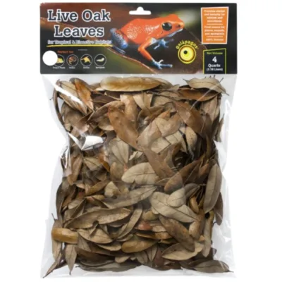 Galapagos Live Oak Leaf Litter 4 quart bag