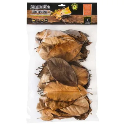 Galapagos Magnolia Leaf Litter 4 Quart Bag