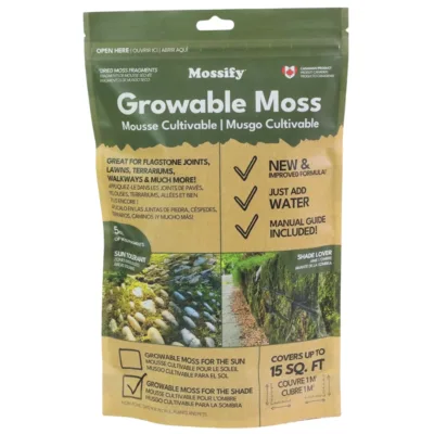 Growable Moss for the Sun or terrariums