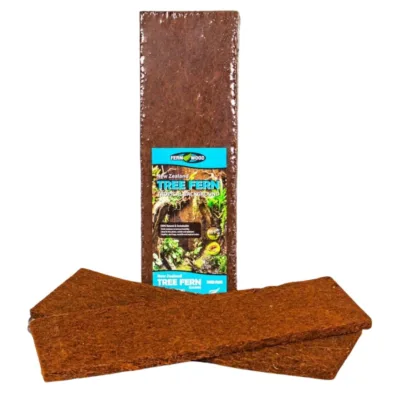 Tree Fern Panels 18x6x0.6