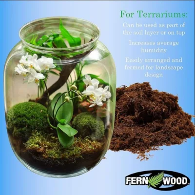 Tree Fern Substrate for small terrarium soil layer