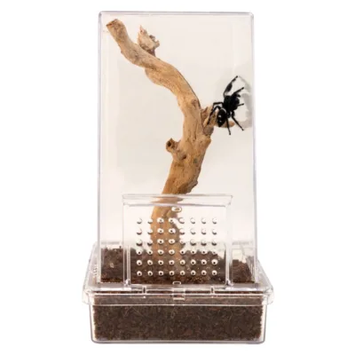 Zoo Med Jumping Spider Starter Kit with spider