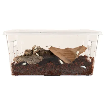 Zoo Med Rolly Polly Kit