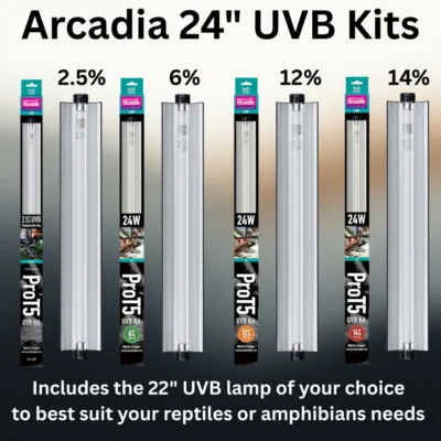 Arcadia Pro T5 UVB Light Kit (24 inch)
