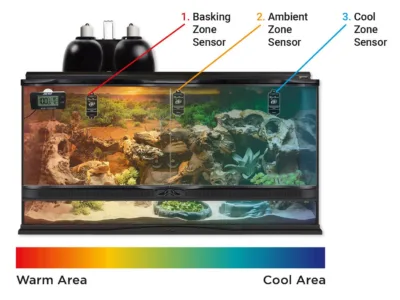 Multiple Slither Sense sensors in a terrarium