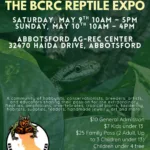 Abbotsford BC Reptile Expo May 9-10 2026