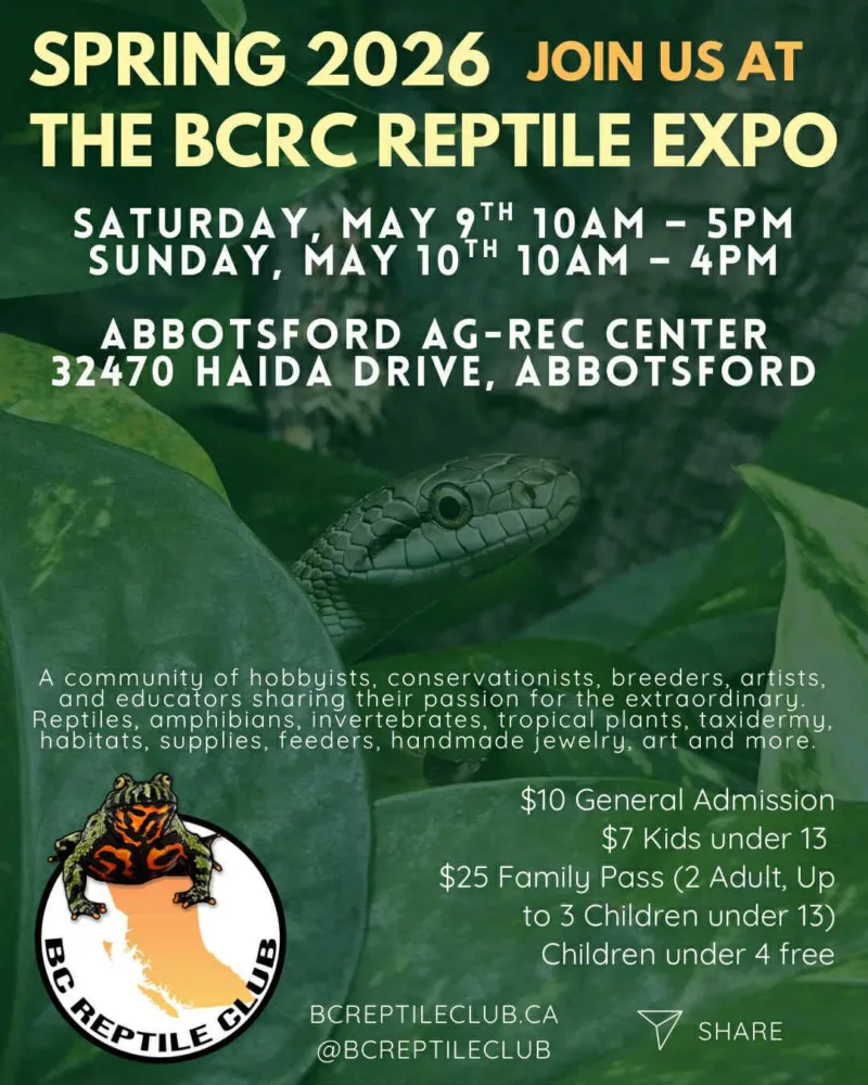 Abbotsford BC Reptile Expo May 9 10 2026