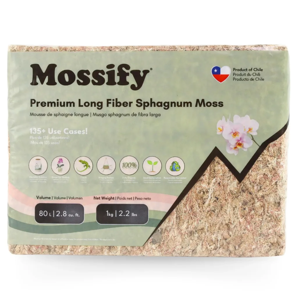 premium sphagnum moss by Mossify 1Kg