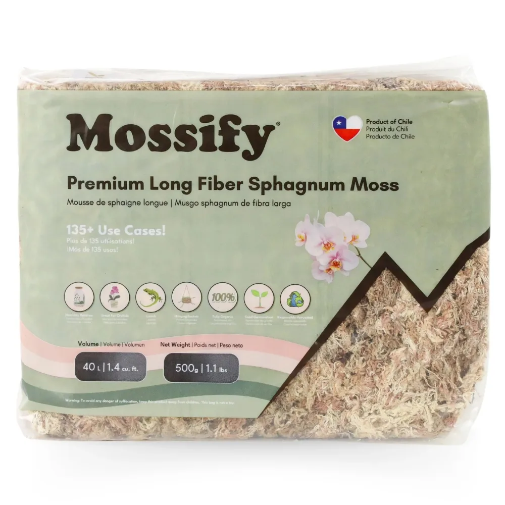 premium sphagnum moss by Mossify 500gm